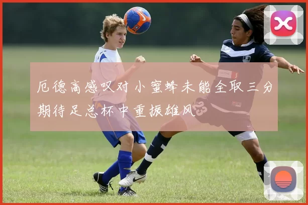 厄德高感叹对小蜜蜂未能全取三分期待足总杯中重振雄风