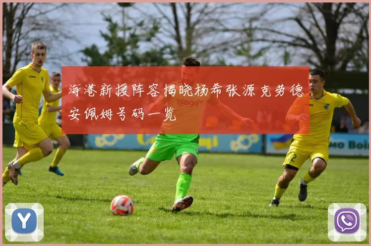 海港新援阵容揭晓杨希张源克劳德安佩姆号码一览